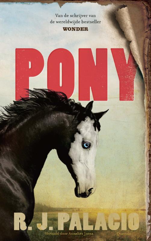 Omslag van Pony
