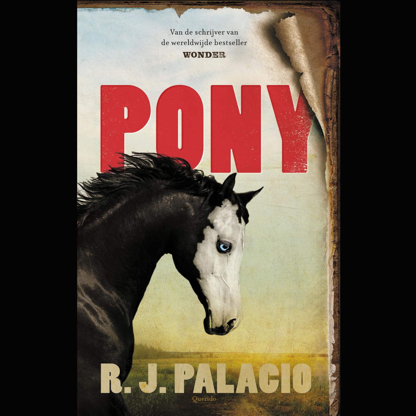 Omslag van Pony
