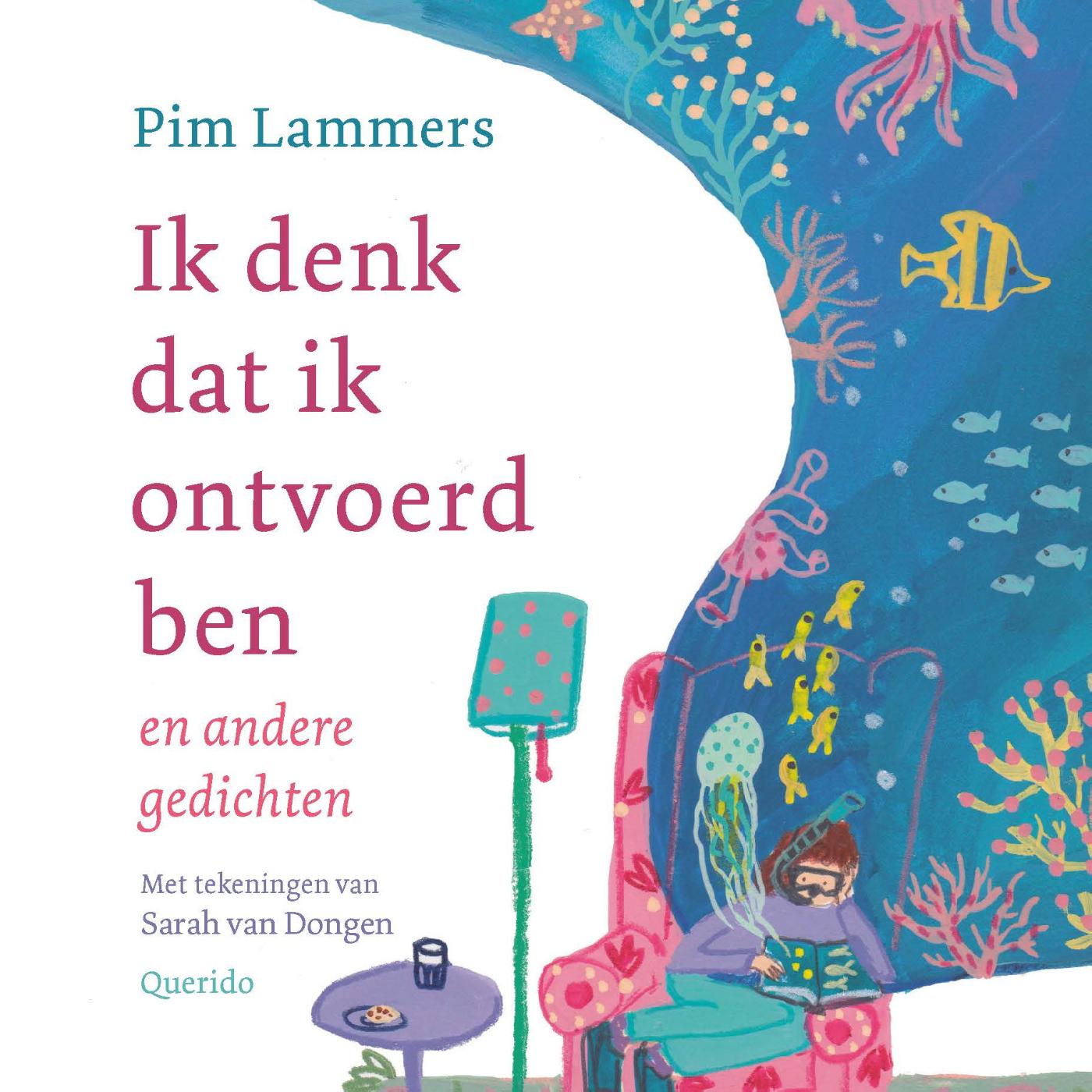 Omslag van Ik denk dat ik ontvoerd ben