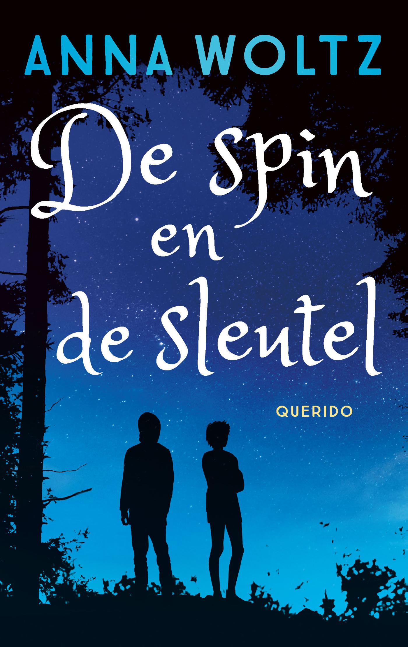 Omslag van De spin en de sleutel