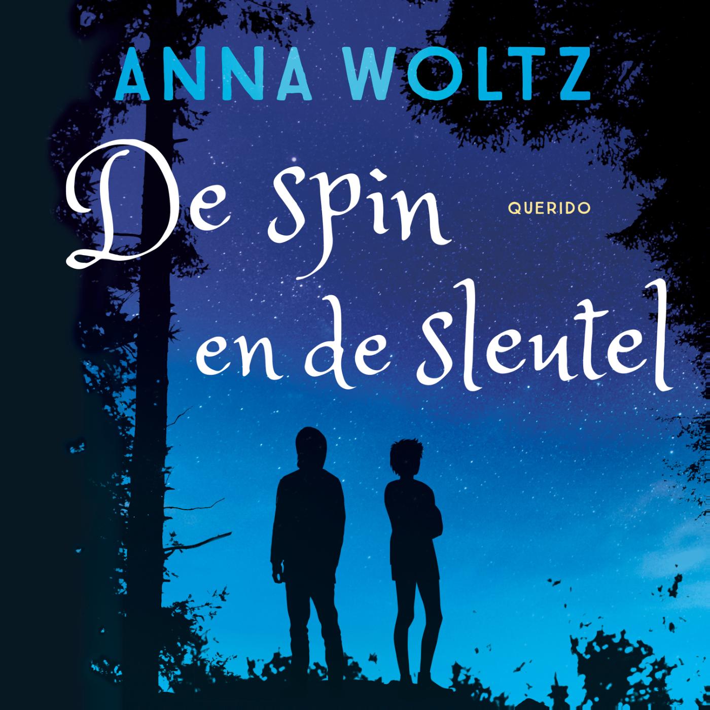 Omslag van De spin en de sleutel