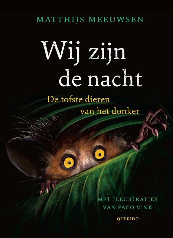Omslag van Wij zijn de nacht