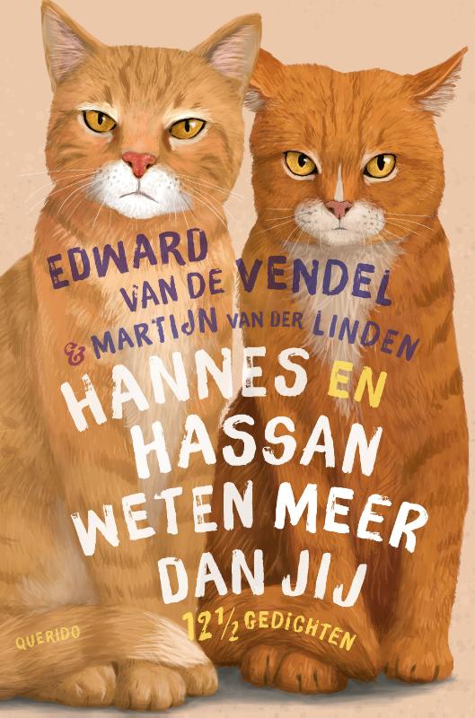 Omslag van Hannes en Hassan weten meer dan jij