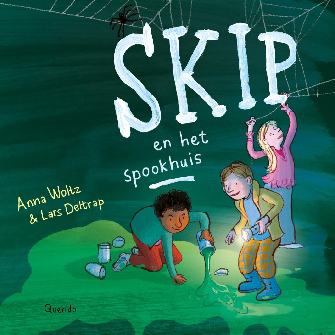 Omslag van Skip en het spookhuis