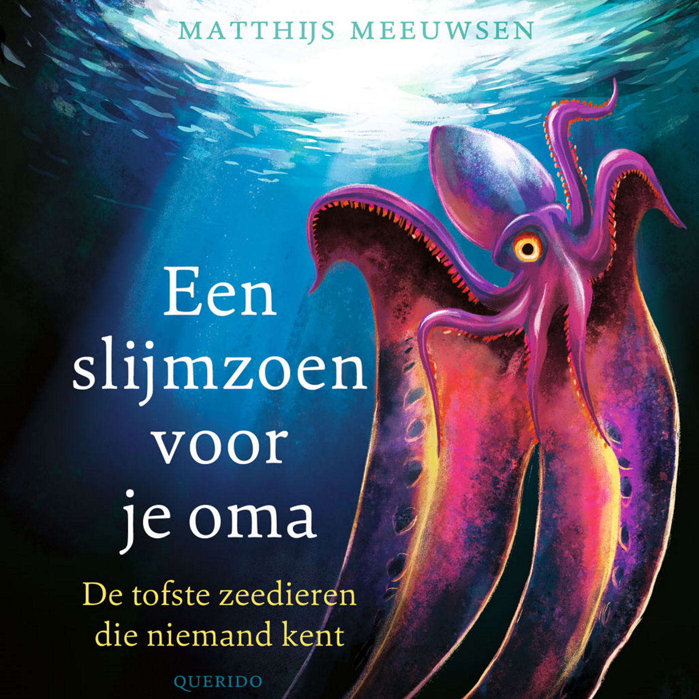 Omslag van Een slijmzoen voor je oma