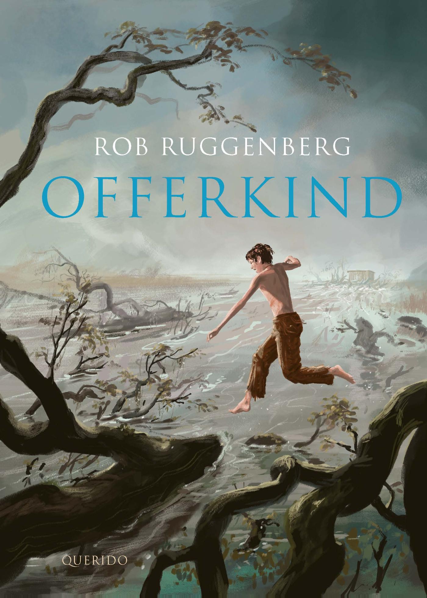Omslag van Offerkind
