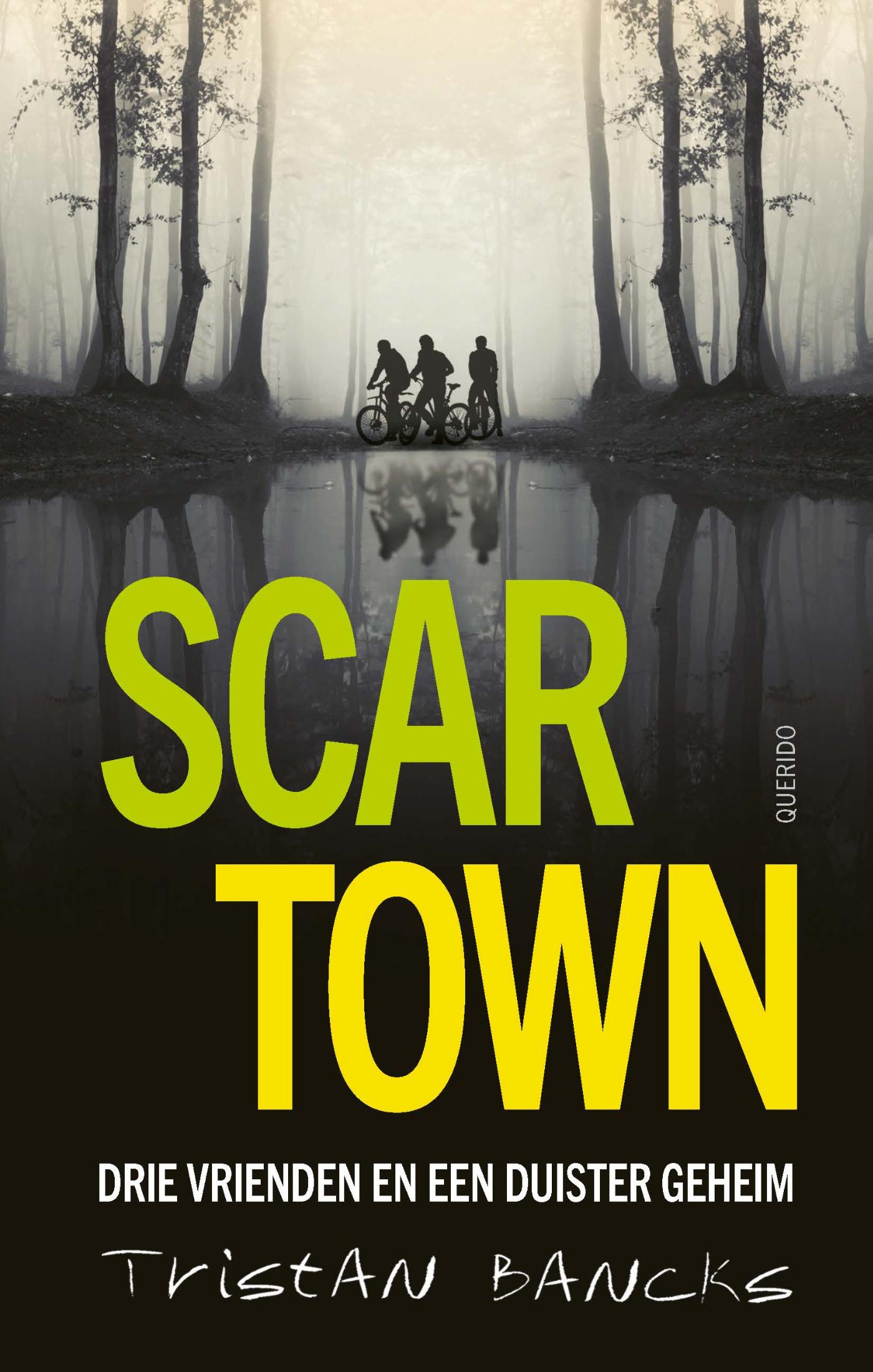Omslag van Scar Town
