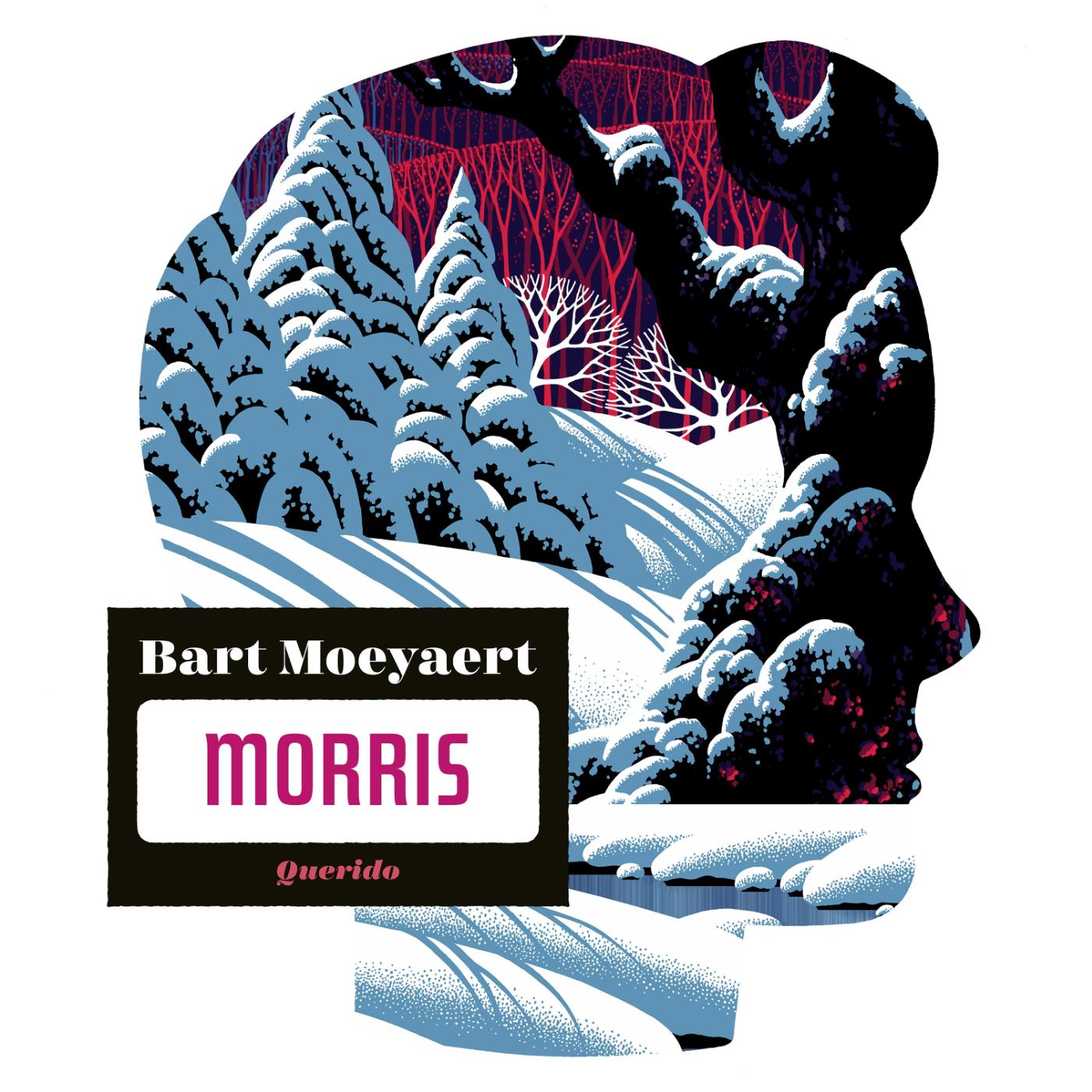 Omslag van Morris
