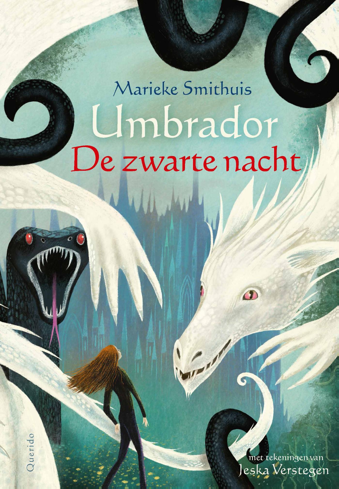 Omslag van De zwarte nacht