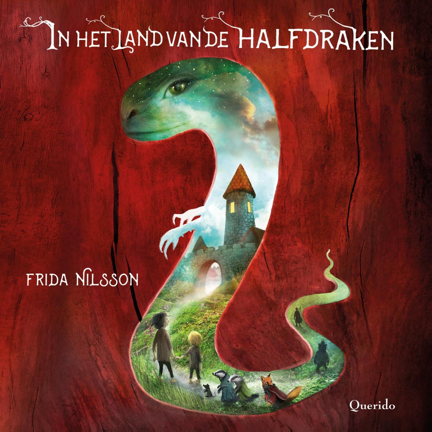 Omslag van In het land van de halfdraken