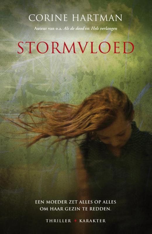 Omslag van Stormvloed
