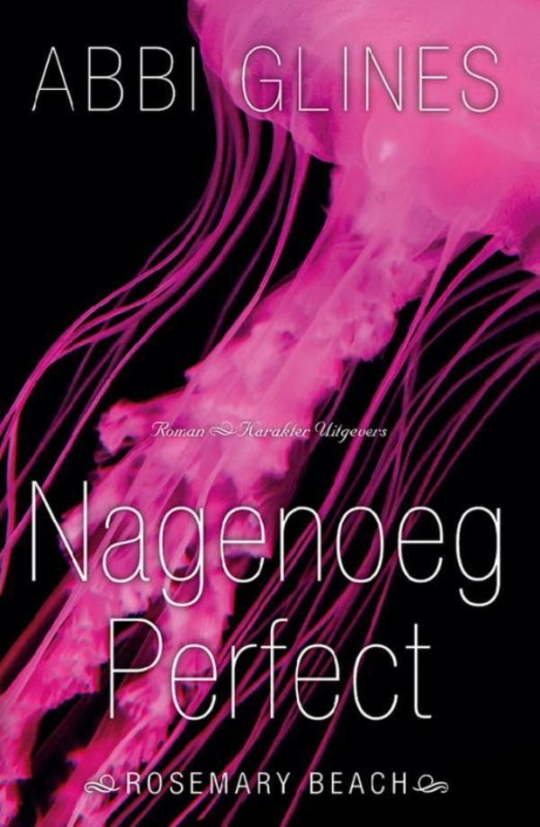 Omslag van Nagenoeg perfect