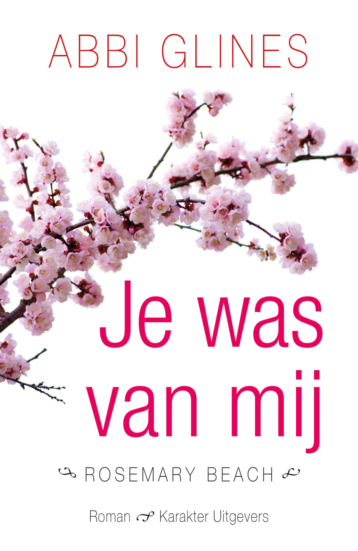 Omslag van Je was van mij