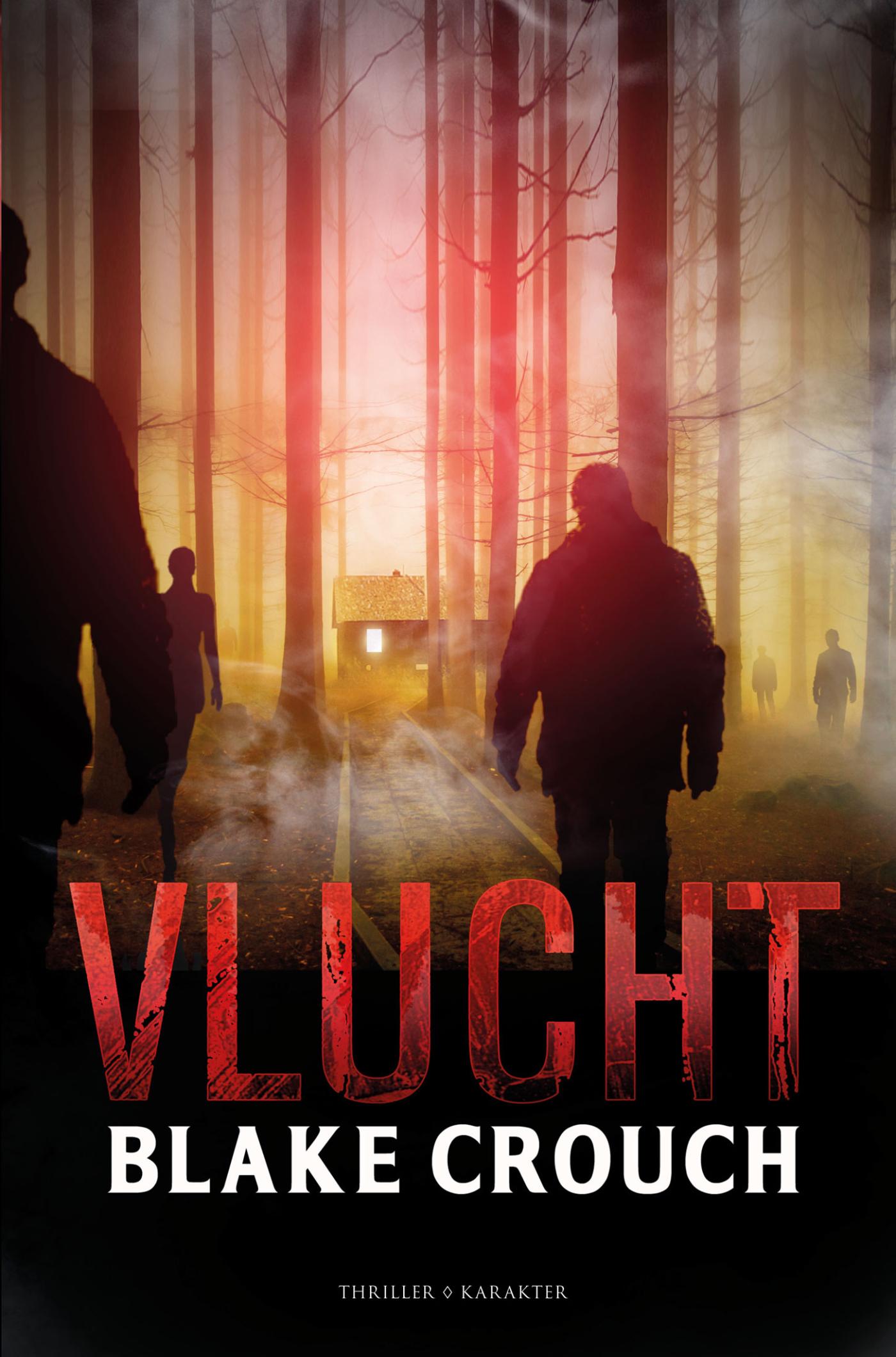 Omslag van Vlucht