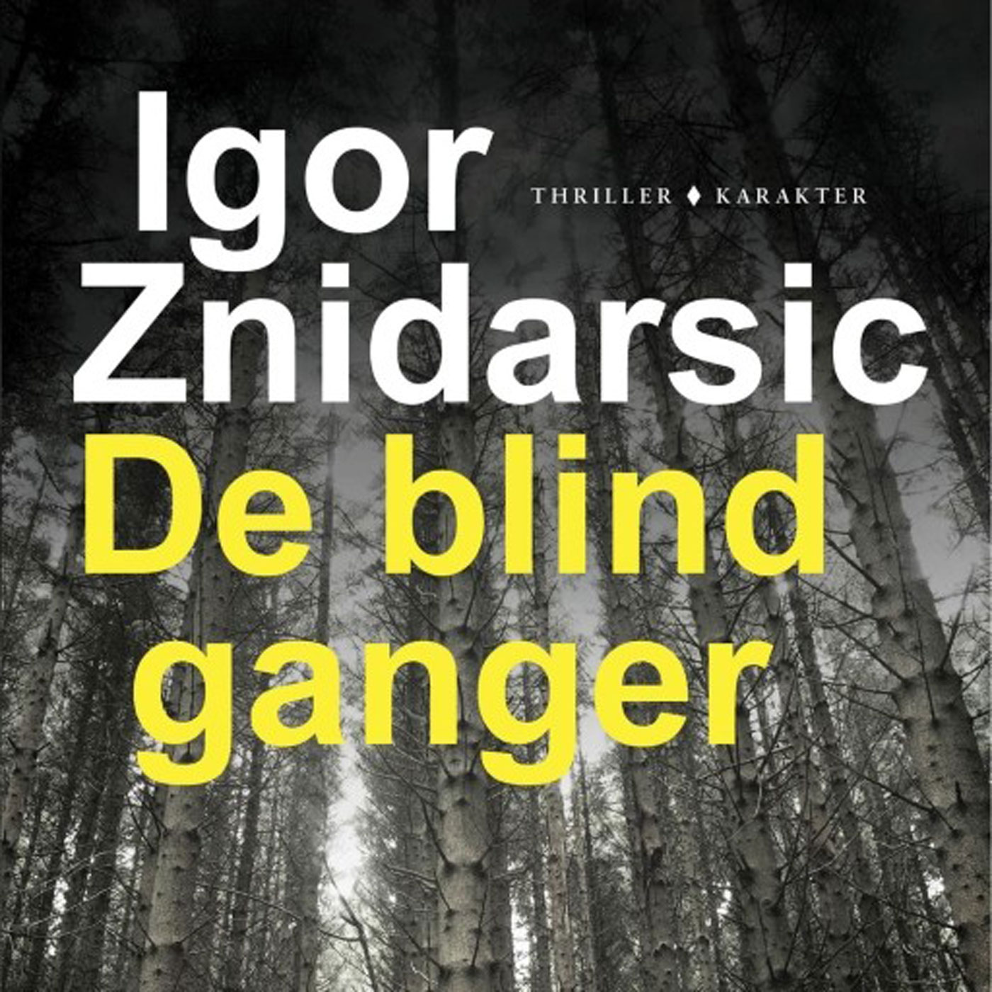 Omslag van De blindganger