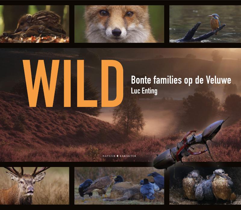 Omslag van Wild - Bonte families op de Veluwe