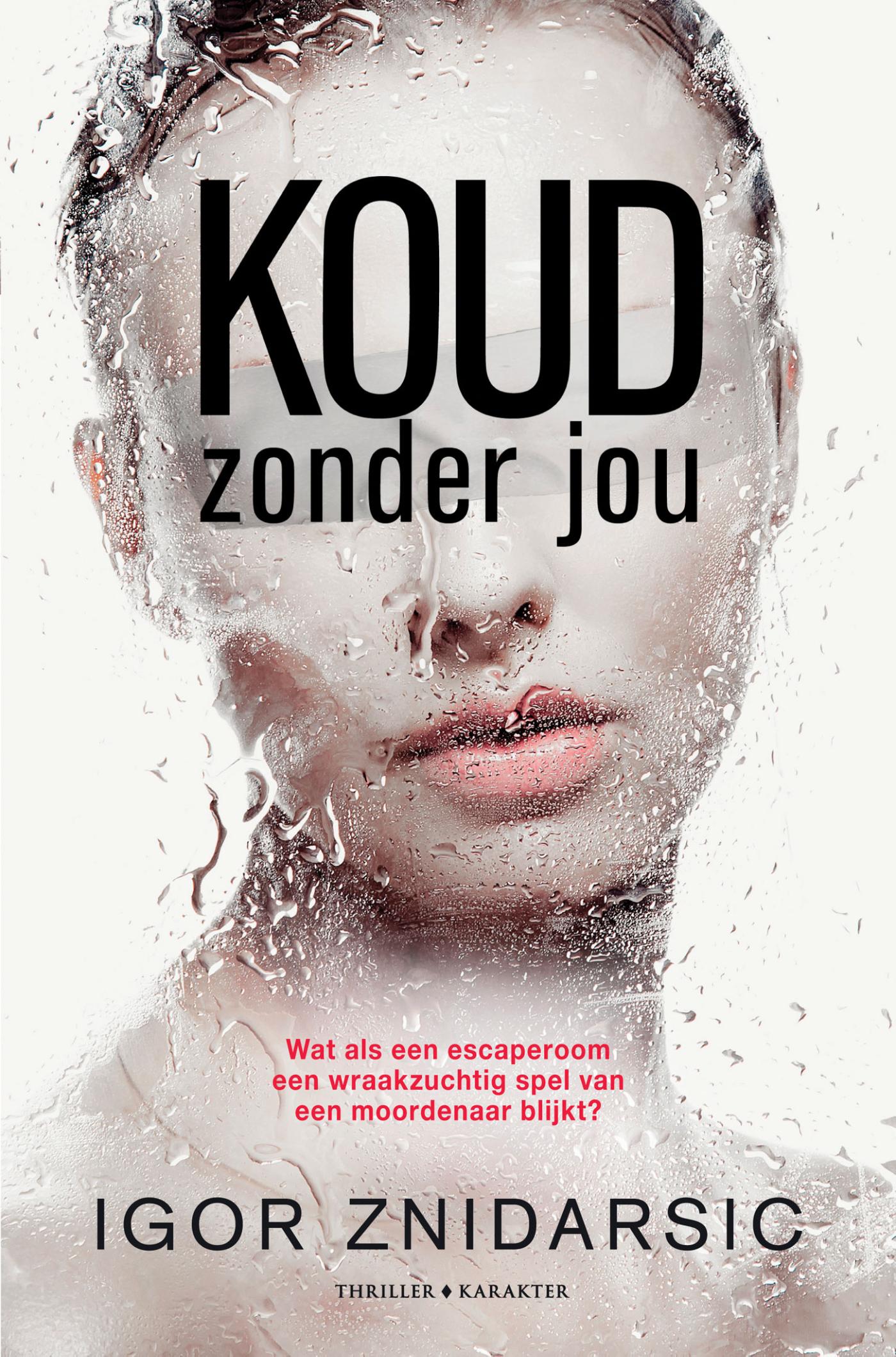 Omslag van Koud zonder jou