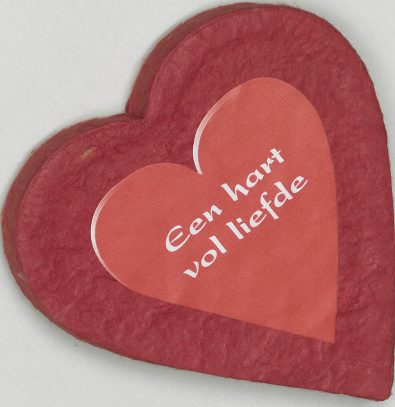 Omslag van Een hart vol liefde