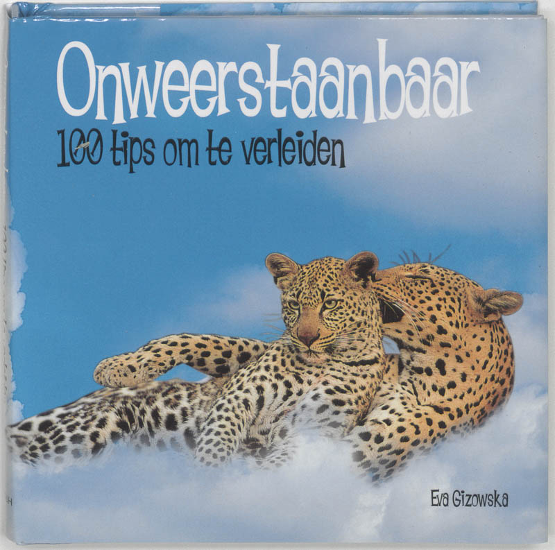 Omslag van Onweerstaanbaar