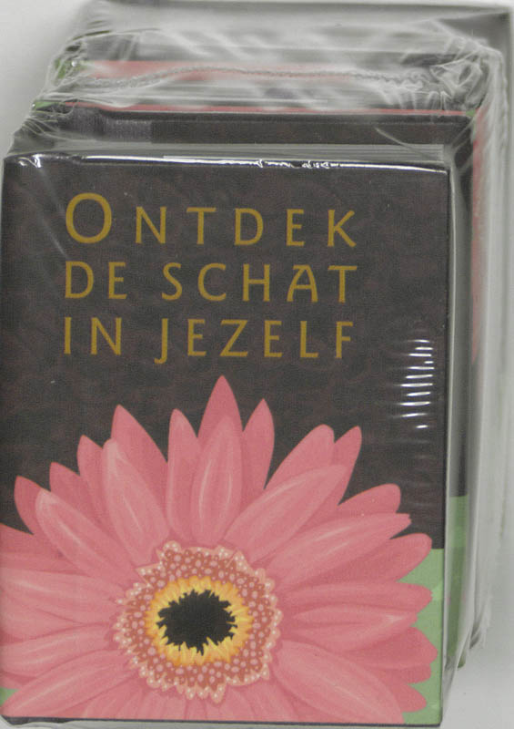 Omslag van Ontdek de schat in jezelf 3 ex