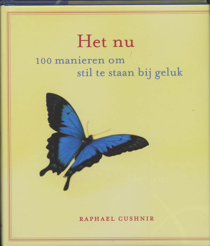 Omslag van Het nu
