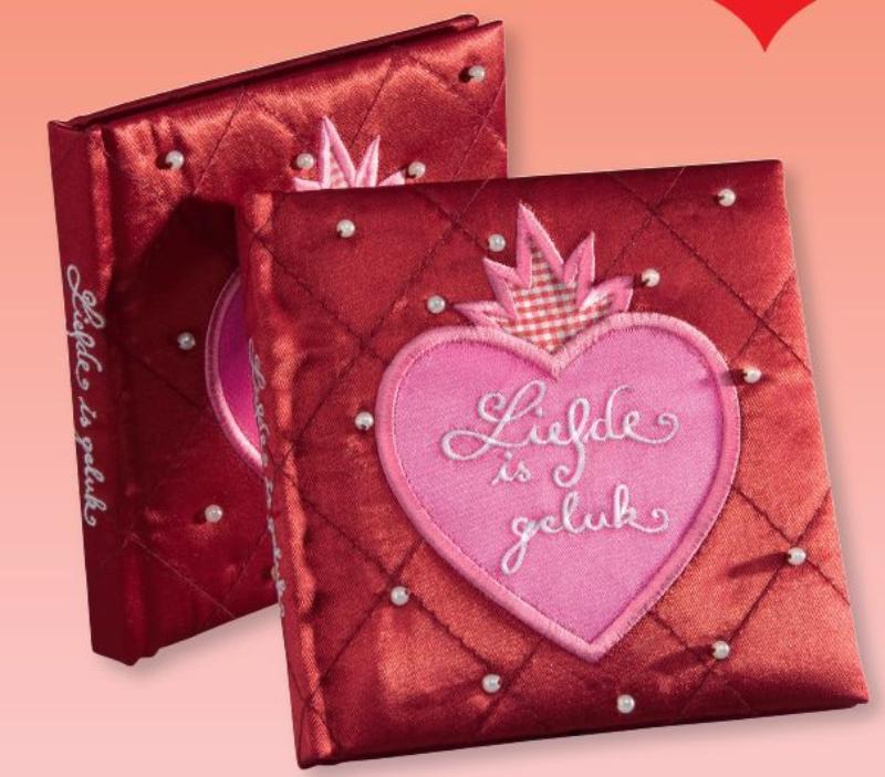 Omslag van Liefde is geluk