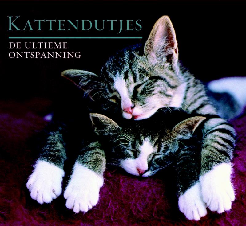 Omslag van Kattendutjes