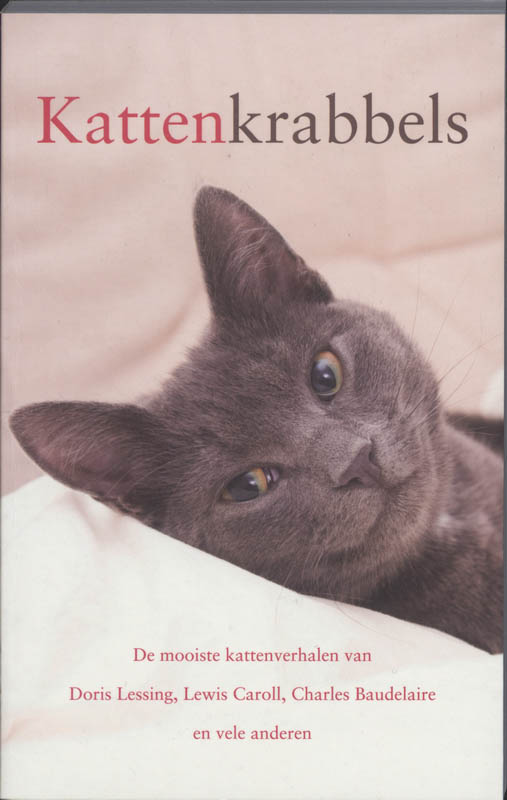 Omslag van Kattenkrabbels