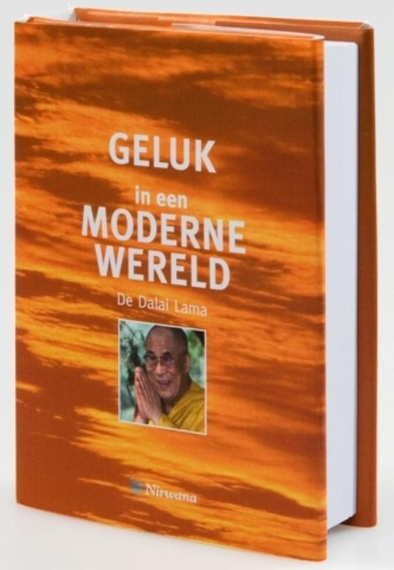 Omslag van Geluk in een moderne wereld
