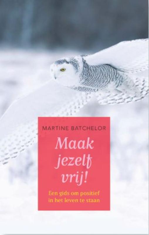 Omslag van Maak jezelf vrij!