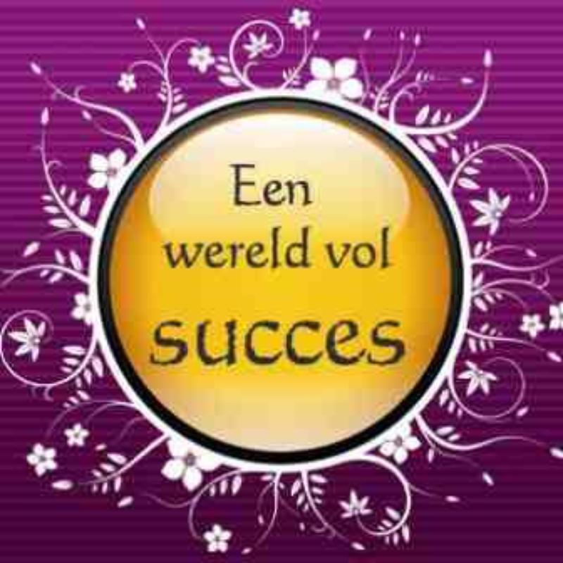 Omslag van Een wereld vol succes