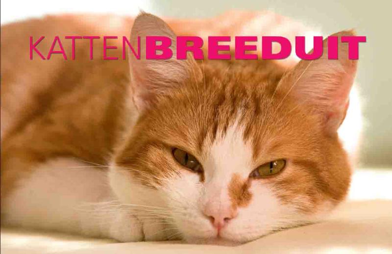 Omslag van Katten Breeduit