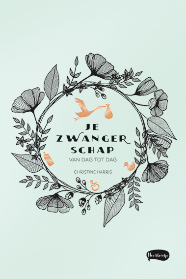 Omslag van Je zwangerschap van dag tot dag