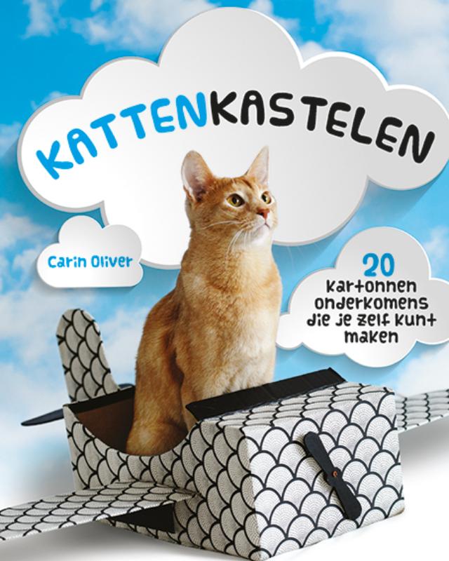 Omslag van Kattenkastelen