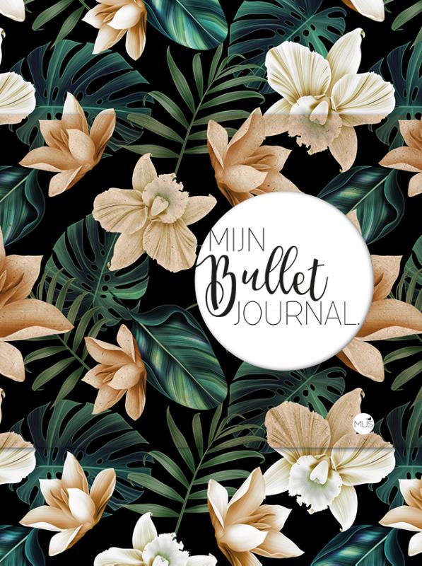 Omslag van Mijn bullet journal