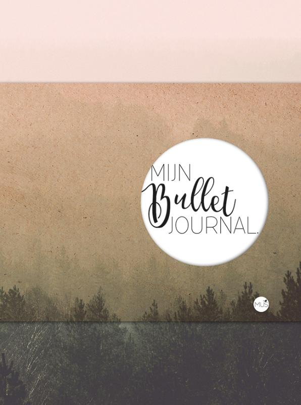 Omslag van Mijn bullet journal