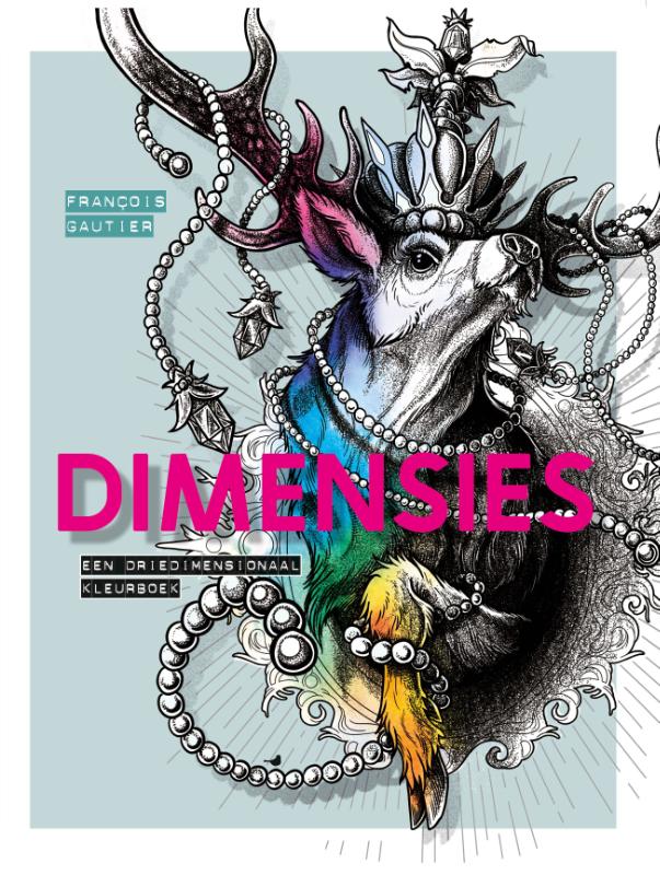 Omslag van Dimensies