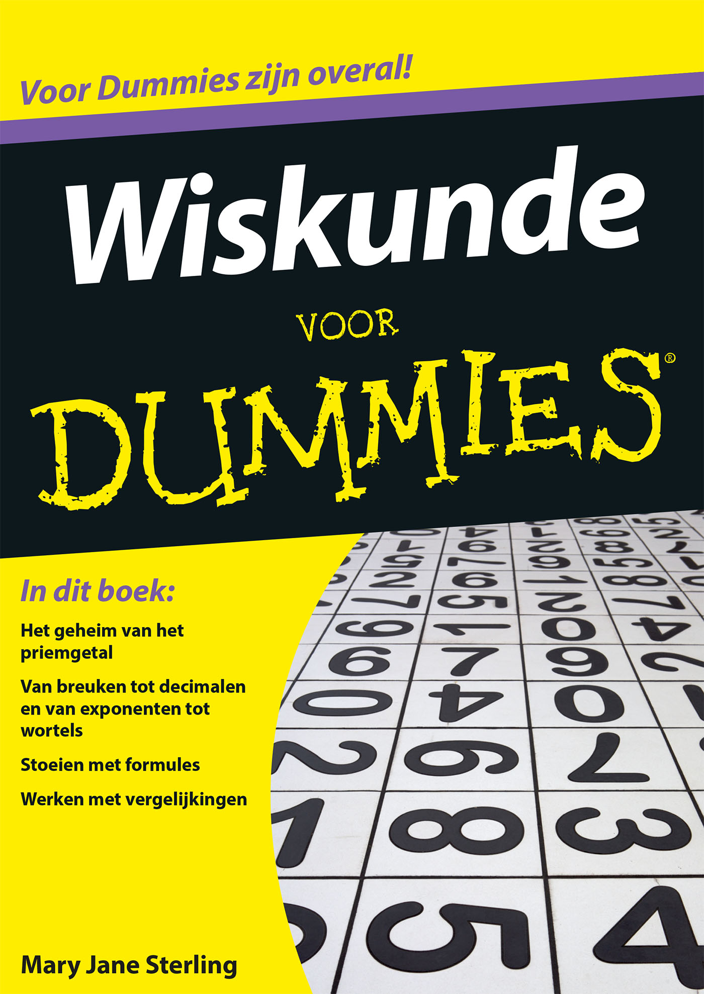 Omslag van Wiskunde voor Dummies