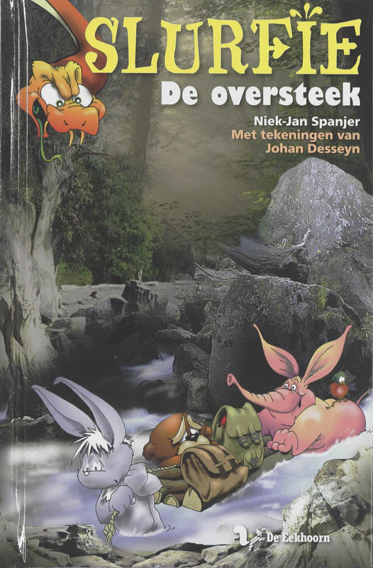 Omslag van De oversteek