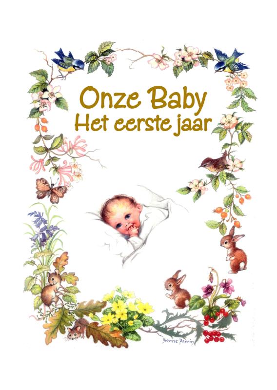 Omslag van Onze Baby
