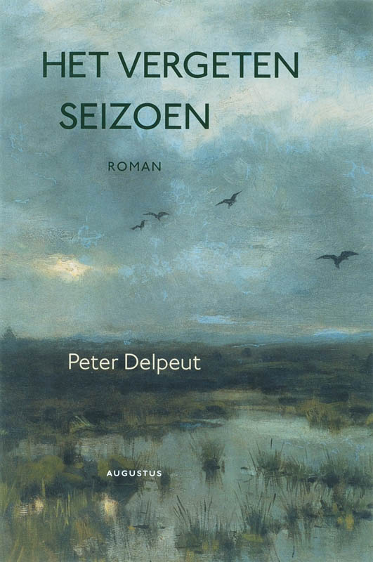 Omslag van Het vergeten seizoen