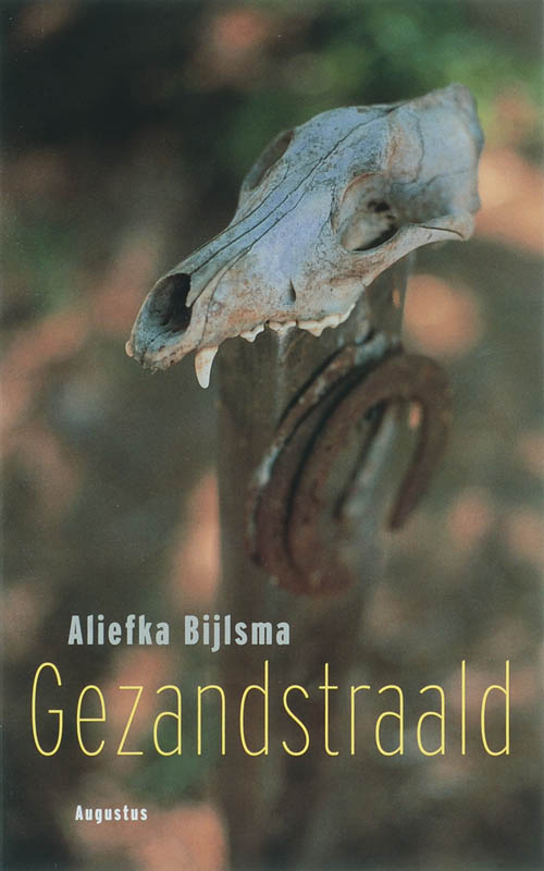 Omslag van Gezandstraald