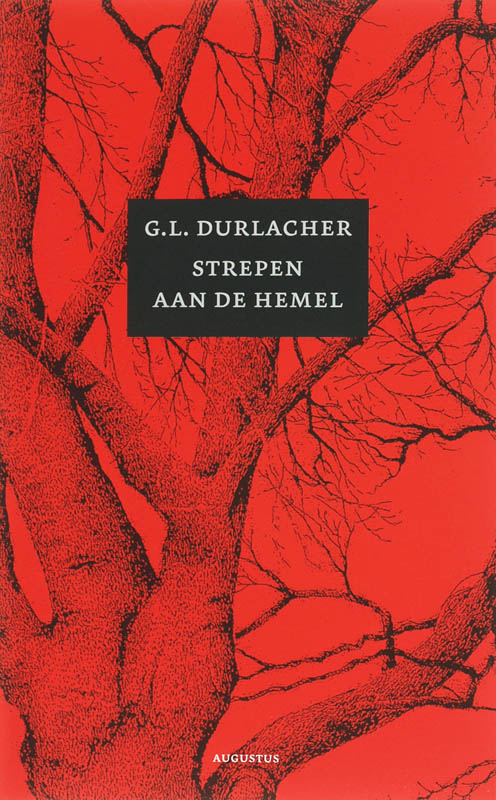 Omslag van Strepen aan de hemel