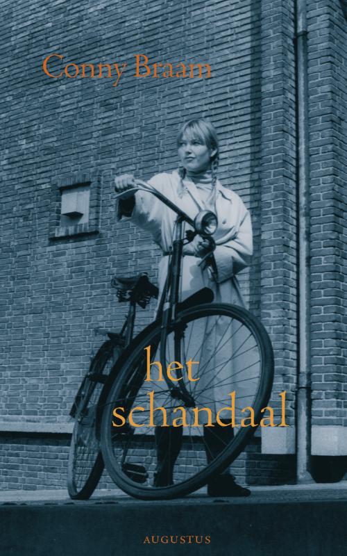 Omslag van Het schandaal