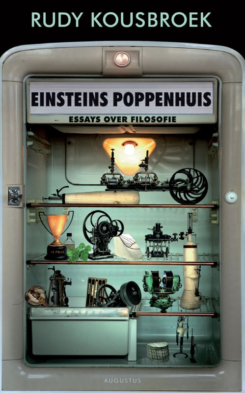 Omslag van Einsteins poppenhuis