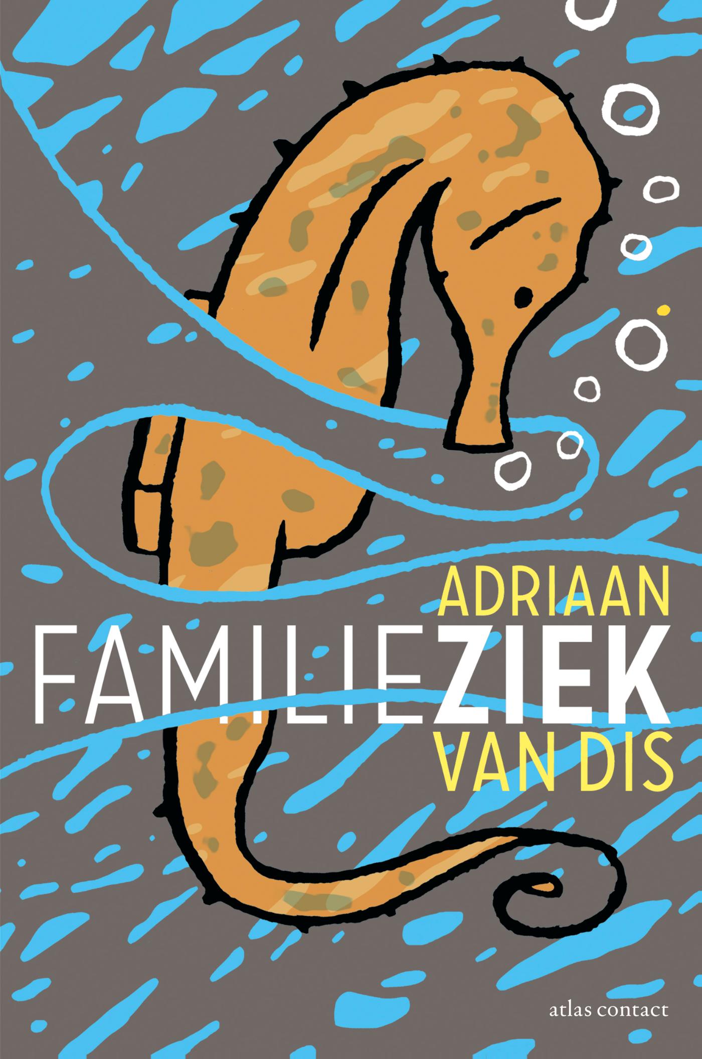 Omslag van Familieziek