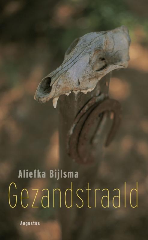Omslag van Gezandstraald