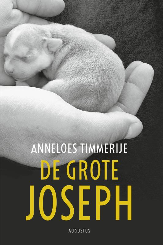 Omslag van De grote Joseph