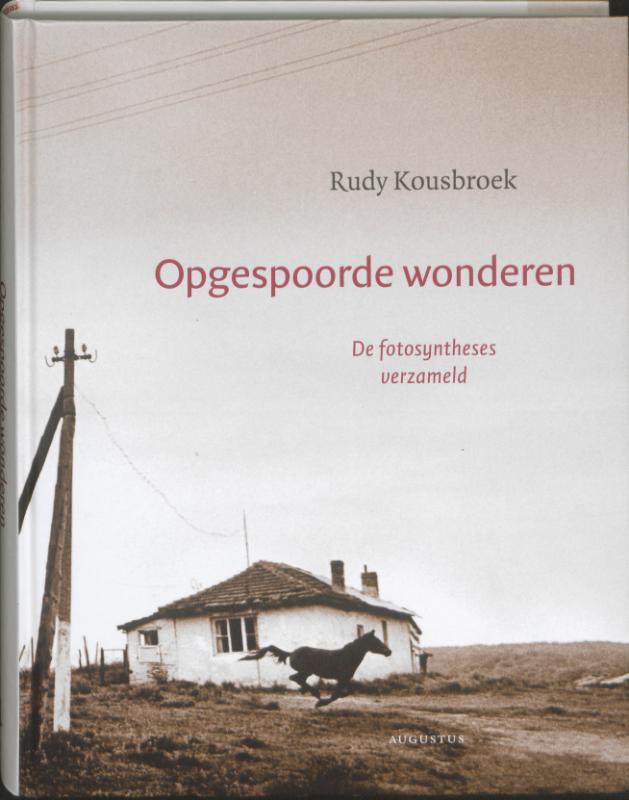 Omslag van Opgespoorde wonderen