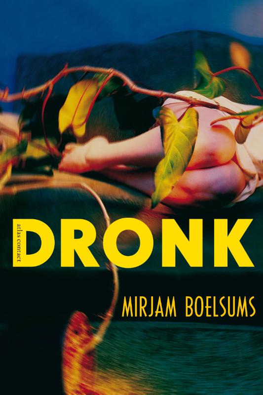 Omslag van Dronk